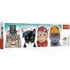 Trefl: Squadra soffice - puzzle panorama da 500 pezzi