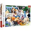Trefl: Puzzle "Cani in giardino" - 1000 pezzi
