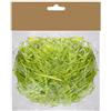 Erba finta, verde - 20 grammi