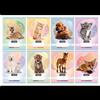 brand815 Nebulo: Quaderno a righe con motivo animale, Classe 3, 12-32, A5 - vari modelli