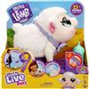 Little Live Pets: Snowie, l'animale interattivo