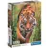 Clementoni: Tigre all'attacco Puzzle compatto 1000 pezzi