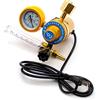 LeTkingok 36/220V CO2 Regolatore di Pressione Anidride Carbonica Riduttore di Pressione Manometro Riscaldato Misuratore di Portata Misuratore di Portata per Saldatura Mig/tig (220V)