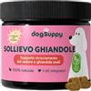 DogSuppy Sollievo Ghiandole - Odore di Pesce, Feci Molli, Perdite e Sedere a Terra | 100% Naturale, 9 Ingredienti Clinicamente Testati, Supporto Ghiandole Perianali Cane, Garanzi di rimborso entro 60 giorni