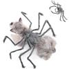 Generic Costume Da Ragno Per Cani, Vestiti Per Animali Domestici Di Halloween | Decorazione creativa del festival di costumi cosplay di Halloween per cani di piccola taglia, gatti, conigli(Gray,S)
