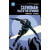 Ed Brubaker Darw Catwoman: Trail of the Catwoman: DC Compact Comics (Tascabile)