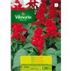 Vilmorin Kit 10 bustine Semi SALVIA NANA ROSSA 190
