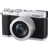 Panasonic Lumix L10 Digital Camera (Silver)
