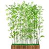 WHAMVOX 50pezzi Rami di Bambù Artificiali con Foglie Finte Verde Decorazione Versatile per Casa Ufficio Feste e Ambienti Interni Rami Resistenti in Nastro e Decorativo