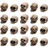 Manqyi 20 Pezzi Mini Teschi Decorativi, Piccole Teste Di Scheletri Finte, Set di Teschi in Miniatura, Teschio Umano Decorare, per Oggetti di Scena per Foto Halloween Decorazioni Feste Paesaggio Accessori