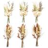 Xecamuvila 6 Pezzi Mini Mazzi di Fiori Secchi - Stile Boho Fiori Secchi con Pampas e Fiori in Stoffa per Matrimonio, Fai-da-Te e Decorazione Casa