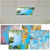 CNSJ 4 coperture per luci fluorescenti per plafoniere, 6 x 6 m, magnetiche, per primavera, estate, autunno, inverno, riduzione dell'abbagliamento intenso, pannello sfarfallio, filtri per aule, uffici