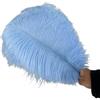 TSWNG 5 piume di struzzo azzurro, piume decorative per fai da te, piume naturali grandi, per Natale, matrimoni, feste, carnevale, decorazione da tavolo, fai da te (30-35 cm)
