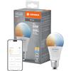 LEDVANCE Lampada LED SMART+ WIFI, smerigliata, 9W, 806lm, forma classica a goccia con attacco E27, luce bianca regolabile, dimmerabile, app o controllo vocale, durata fino a 20.000 ore