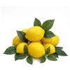 Mtbricey 10 limoni artificiali con foglie, realistici, frutta finta realistica, decorazione per casa, cucina, feste, estive, per riempire vasi, fotografie, centrotavola (B)