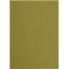 Vaessen Creative Cartoncino Florence Testurizzata - Materiali per Biglietti colorati A4 - Acacia - 10 Fogli - Carta per Scrapbooking, Biglietti, Fustellatura e Progetti con Carta - 216 gsm - Verde