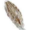 Generico Coda di cavallo elastica con dreadlock, extension per capelli stile boho con perline, facile da applicare in un minuto grazie all'elastico, leggera, disponibile in diversi colori (bianco)