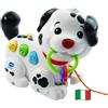 VTech Macchia Canta e Cammina con Me Cagnolino Interattivo 12-36 Mesi | Cane che Cammina, Guinzaglio Incluso, 3 Canzoni, 20 Melodie, Lingua Italiana, Batterie Incluse