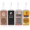 Paluplus Set 4 Evaporatori d'Acqua per Termosifoni in Ceramica, misura 8x4x17 cm, Umidificatore e Gancio a S -880F -2,2 (Radio)