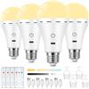 Görvitor Görvitor 4 lampadine a LED E27 con telecomando e timer, ricaricabili, dimmerabili, 3 temperature di colore, batteria da 2600 mAh, per esterni, campeggio, luce di emergenza con gancio