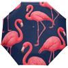GAIREG Ombrello blu fenicotteri rosa per pioggia, leggero ombrello con apertura automatica e chiusura per donne, ombrelli per pioggia