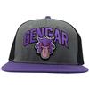 Bioworld Pokemon Gengar - Berretto ricamato con logo ricamato con licenza di colore viola