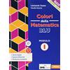 Petrini Colori della matematica. Ediz. blu. Per il triennio del Liceo scientifico. Con e-book. Con espansione online. Calcolo integrale, equazioni differenziali e distribuzioni (Vol. I)