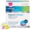 NATURWAREN ITALIA SRL THEISS ACTIVE NUTRIENT MG/K 20 BUSTINE