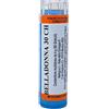 Hering Belladonna Hering 30 Ch Medicinale Omeopatico in Granuli Multidose, 4g