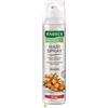 Rausch ag kreuzlingen Rausch Hairspr Strong Aerosol 250 ml