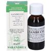 SARANDREA MARCO &C. Srl Sambuco tintura madre 60 ml - estratto idroalcolico di sambuco