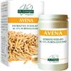 giorgini Avena estratto titolato polvere 150 g