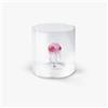 WD LifeStyle Bicchiere Vetro Borosilicato Cc 250 ml Decoro Medusa