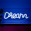 WD LifeStyle Insegna Neon con Cornice in Plexiglass 23 x 13 Cm Decoro Dream