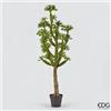 Enzo De Gasperi EDG Enzo De Gasperi Pianta Artificiale Cactus West con Vaso H183 Cm