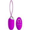 REMOTE CONTROL PRETTY LOVE - TELECOMANDO EGG BERGER 12 V