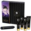 SHUNGA KITS SHUNGA - KIT GEISHA CATTIVA