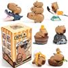 VorErgyllic 1 Pezzo Capybara Serie Blind Box Figure, Scatola Singola Casuale | Carino Capybara Design Casuale, Regalo Mistero per Collezionisti, Mini Figurina per Casa Scrivania Auto Decorazione