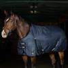 Equestro Coperta da paddock Nevada 250 g