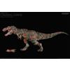 Rebor Figurina ZOMBIE T-REX Cannibal Corpse 2 versioni (Jungle/Plain) dinosauro Rebor