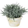 Flair Flower Podocarpus artificiale in vaso da 15 cm, pianta sempreverde da interno di | Pianta artificiale compatta con ago denso e vaso decorativo per davanzale, scrivania, scaffale o comò