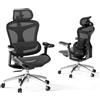 SIHOO Sedia da ufficio ergonomica Doro C300, braccioli 3D ultra-morbidi, supporto lombare dinamico, schienale regolabile per home office (nera)