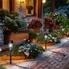 GIGALUMI Luci solari da giardino per esterni, confezione da 8, impermeabili, ad energia solare, luci per vialetti, vialetti, cortili, paesaggi, vialetti (bianco freddo)