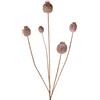 artplants.de Papavero Artificiale FILOMELA, Marrone Chiaro, 75cm | Fiore Decorativo