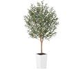 VeriNatural Olivo Pianta Finta da Interno 170cm - Piante Finte Grandi con Naturale Tronco, Pianta Artificiale in Vaso Bianco con Ghiaia - Decorazioni Moderna per Casa Soggiorno e Esterni,VN133