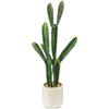 Oairse Pianta Artificiale di Cactus in Vaso di Ceramica - Decorazione Euphorbia Accruensis per Casa, Giardino, Ufficio - Regalo