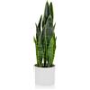 HJH Office 871016 Pianta artificiale SANSEVIERIA con fioriera Altezza 65 cm Pianta d'appartamento artificiale arco di canapa