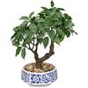 Oairse Pianta artificiale per bonsai in vaso di ceramica, albero di bonsai artificiale, decorazione in vaso per soggiorno, camera da letto, bagno, davanzale