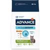 Affinity Advance 1,5 kg gratis! 10 kg Advance Crocchette per gatto - 8,5 kg + 1,5 kg Sterilized Junior con Pollo