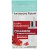 CLINIANS | Antirughe Repair Siero Concentrato 30 ml | Dermatologicamente testato, Made in Italy